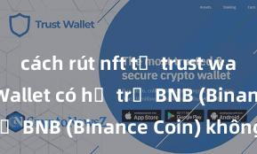 cách rút nft từ trust wallet Trust Wallet có hỗ trợ BNB (Binance Coin) không?